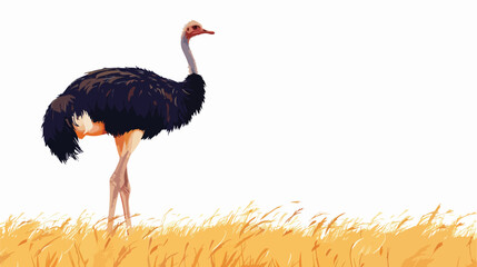 Side profile of female ostrich standing in dry grass - obrazy, fototapety, plakaty