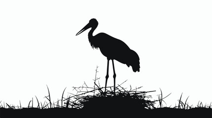 Silhouette of a Jabiru Stork Standing on its Nest