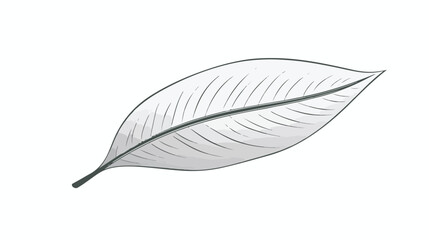 Vector illustration. A minimalistic drawing of a leaf