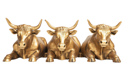 Gilded bull statues isolated with transparent background
