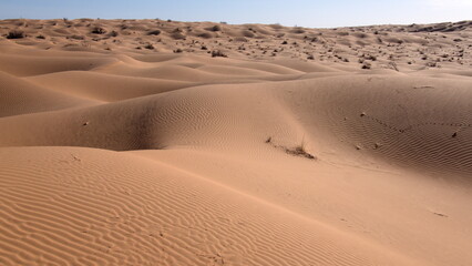 Rolling sand dunes surrounding a valley in the Sahara Desert, outside of Douz, Tunisia