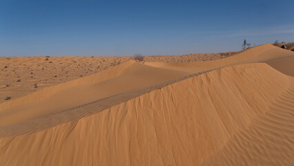 Rolling sand dunes surrounding a valley in the Sahara Desert, outside of Douz, Tunisia