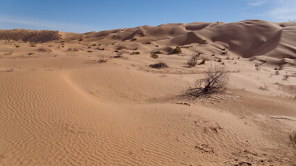Tall dunes surrounding a valley in the Sahara Desert, outside of Douz, Tunisia