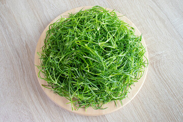 Fresh green Spergularia marina vegetables on a round hardwood tray with wooden background.