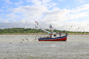 A fishing boat surrounded by sea birds trawls for fish as it heads out of Galveston Bay, Texas, on...