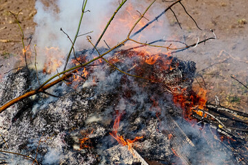 Fire engulfs dry branches, producing thick smoke.