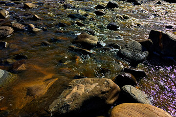 Sunlight reflects off the brown waters flowing swiftly over a rocky landscape.