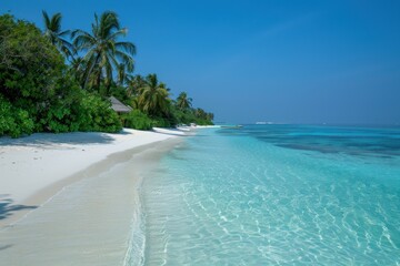 Maldives paradise with white sandy beach and clear blue sky - obrazy, fototapety, plakaty