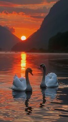 Swans at Sunset on a Pristine Lake with a Mountain Backdrop