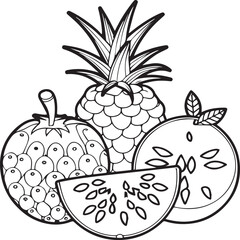 Fruits coloring pages for coloring book. Fruits outline vector