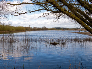 Flooded meadows at Wheldrake Ings, North Yorkshire, England