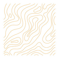 Fototapeta premium Boho Topographic Line Pattern Background