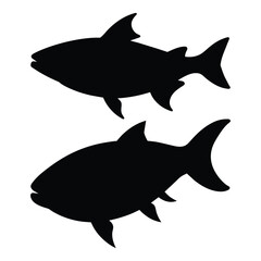 silhouette of tarpon fish on white