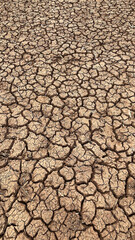 soil arid texture abstract background .