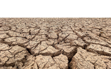 soil arid texture transparency background..