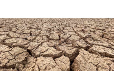 soil arid texture transparency background..