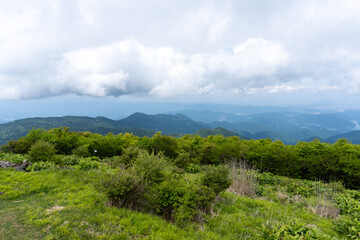 Obraz premium Top of Hirugadake mountain in Tanzawa
