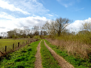 Fototapeta na wymiar Trail beside a field with trees and a blue sky