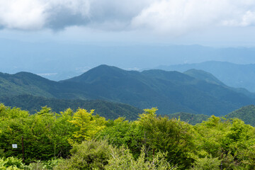 Fototapeta na wymiar Top of Hirugadake mountain in Tanzawa