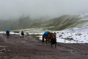 Inka women walkin with a horse through rainbow mountain in peru  - obrazy, fototapety, plakaty