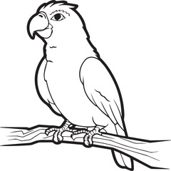 Parrot coloring pages for coloring book. Parrot outline vector