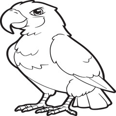 Parrot coloring pages for coloring book. Parrot outline vector
