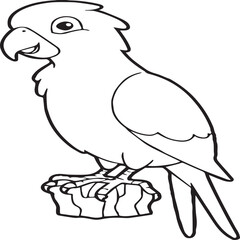 Parrot coloring pages for coloring book. Parrot outline vector