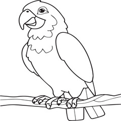 Parrot coloring pages for coloring book. Parrot outline vector