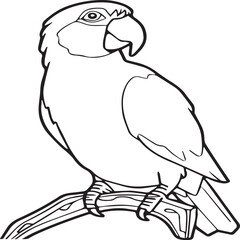 Parrot coloring pages for coloring book. Parrot outline vector