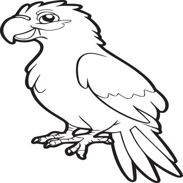 Parrot coloring pages for coloring book. Parrot outline vector