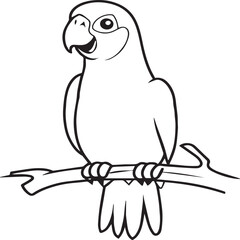 Parrot coloring pages for coloring book. Parrot outline vector
