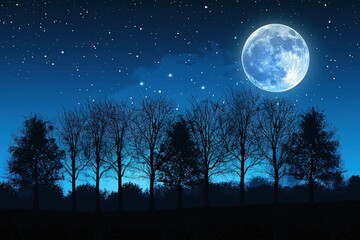 Fototapeta na wymiar Night with tree silhouettes and the moon