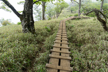 Trail between Tanzawa and Tonodake