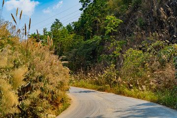 A road in the mountains.
Central Vietnam. The mountainous regions of the country.