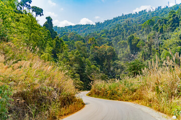 A road in the mountains.
Central Vietnam. The mountainous regions of the country.