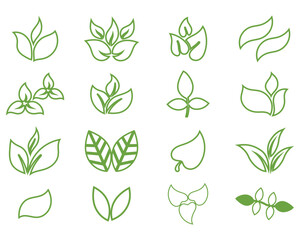 Green leaf icons set. Leaves icon on isolated background. Collection green leaf. Elements design for natural,  Vector illustration. 
