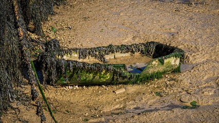 A small wreck of a boat overgrown with algae in the harbor at low tide