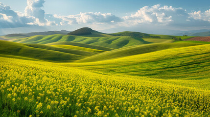 A serene countryside landscape with rolling green hills and vibrant fields of yellow rapeseed...