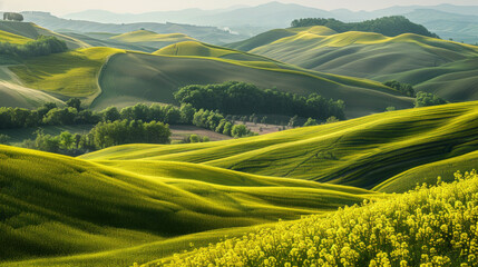 A serene countryside landscape with rolling green hills and vibrant fields of yellow rapeseed flowers