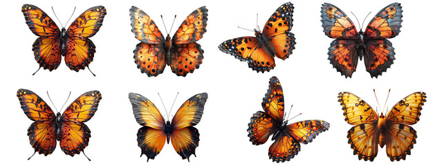 Fototapeta premium colorful butterfly set isolated on a transparent or white background, png 