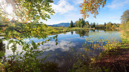 stunning autumnal landscape lake Moorweiher Oberstdorf, branches with autumnal leaves