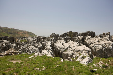 Fototapeta na wymiar Lebanon ruins of ancient Apamea on a sunny spring day