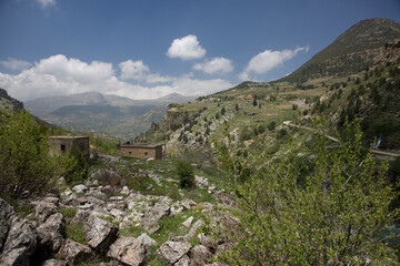 Fototapeta na wymiar Lebanon. Landscape on a cloudy spring day.