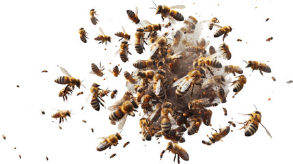 A vibrant array of bees gracefully soar through the air in harmonious motion