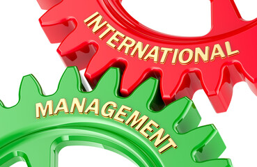 International Management concept with colored gearwheels. 3D rendering isolated on the transparent background