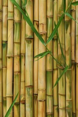 A bamboo texture with parallel stripes, providing a Zen and sustainable backdrop for eco-friendly or wellness projects