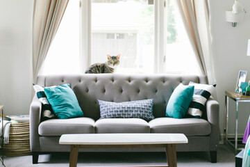 Fototapeta na wymiar Stylish sofa in living room