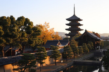 Naklejka premium Toji pagoda and autumn leaves in the early morning, in Kyoto, Japan