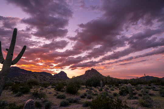 A stunning sunset in San Tan Mountain Regional Park, in Pinal County, Arizona. 