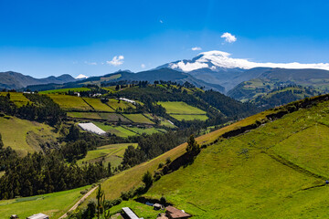 Andean landscapes near the Cayambe volcano, agriculture and livestock in the highlands
